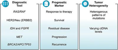 Role of Circulating Tumor DNA in Gastrointestinal Cancers: Update From Abstracts and Sessions at ASCO 2018